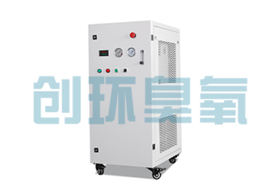 三门峡石斑鱼养殖水质调控完整指南:臭氧发生器配置与操作步骤